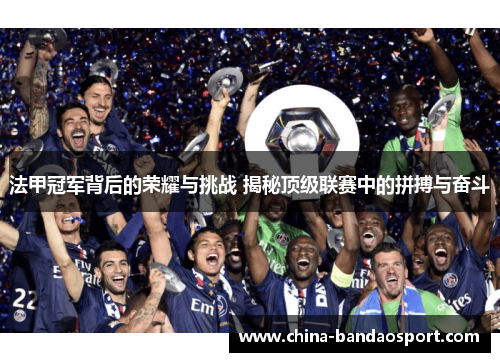 法甲冠军背后的荣耀与挑战 揭秘顶级联赛中的拼搏与奋斗