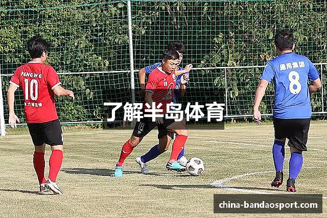 了解半岛体育